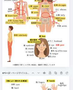 英語でヨガを練習したいヨギのためのフレーズ集