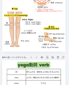 英語でヨガを練習したいヨギのためのフレーズ集